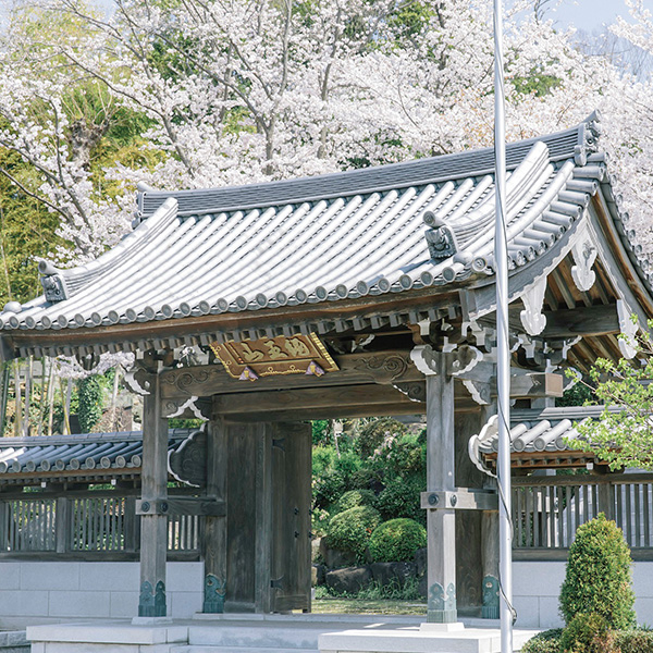 妙法寺 日蓮宗